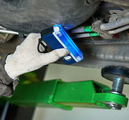 Royal-Prince Leak-Repair