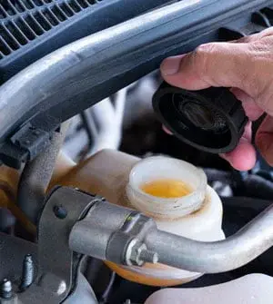 Royal-Prince-Leak Repair