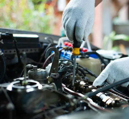 Royal-Prince-Minor-Service