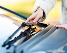 Royal Prince wiper Repairs