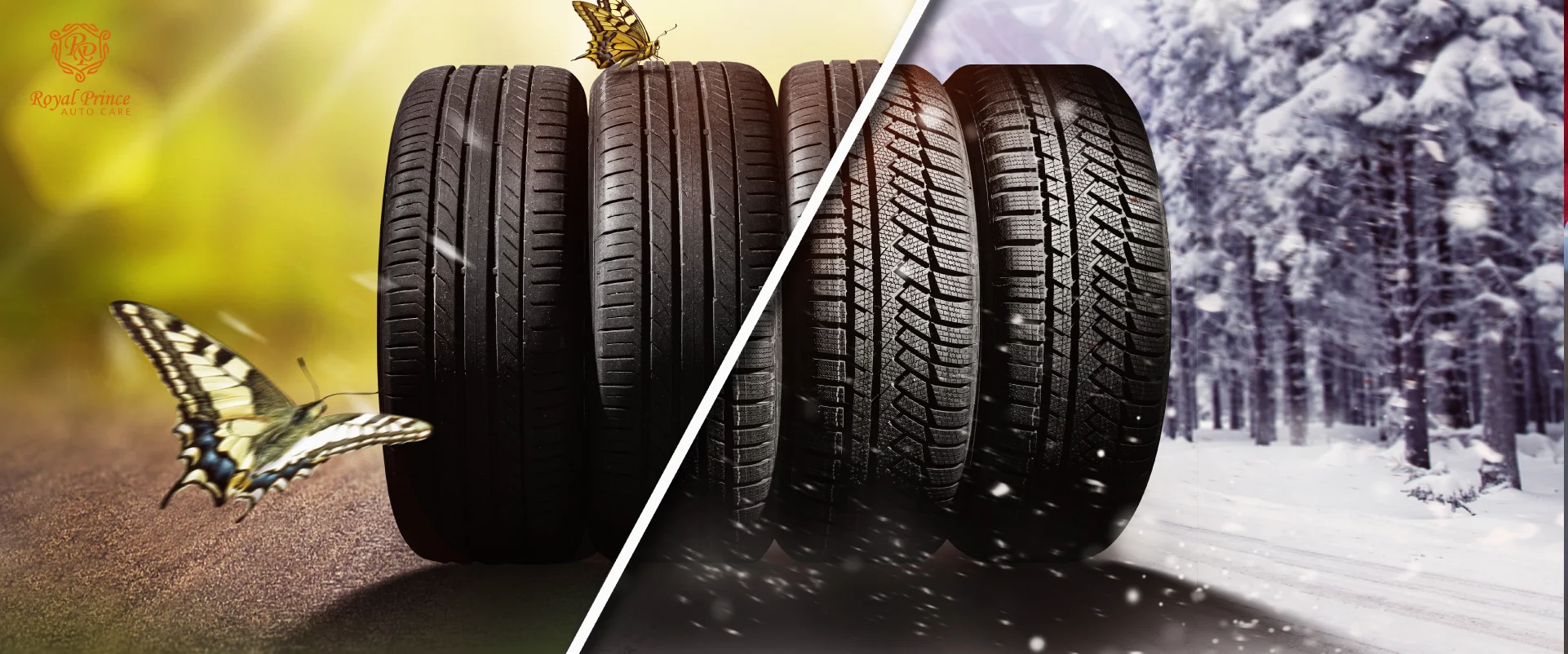 Difference Between Summer And Winter Tires